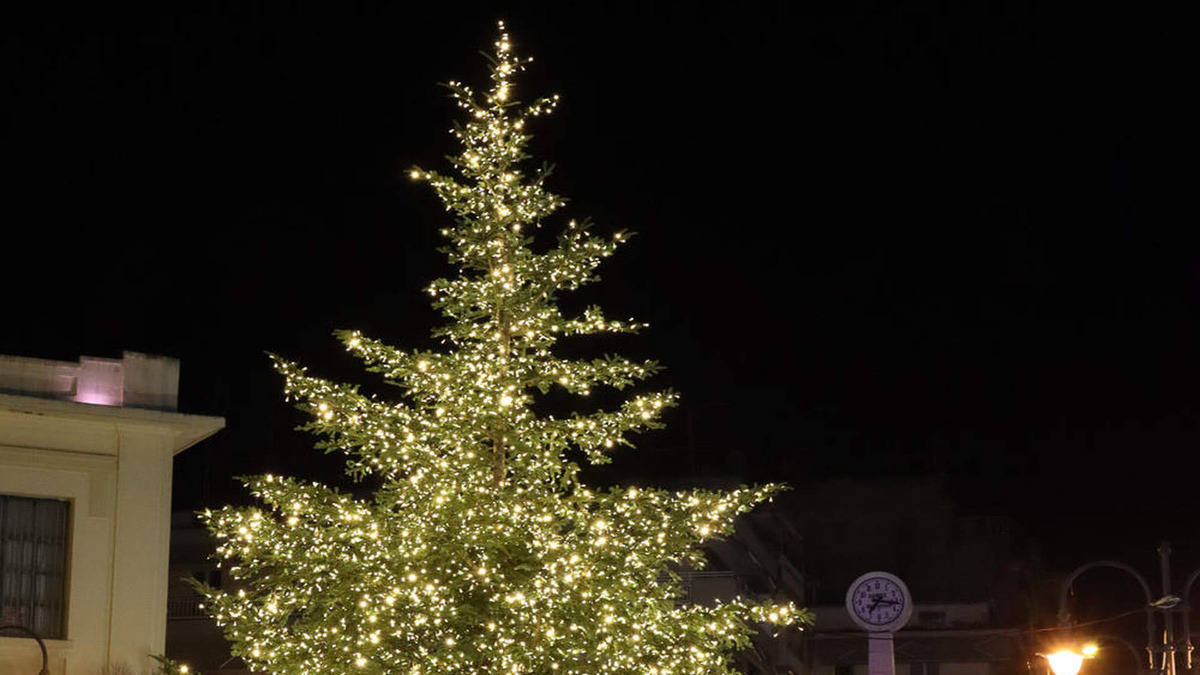 Σήμερα φωταγωγείται το Χριστουγεννιάτικο δέντρο στο Σιντριβάνι στα Πεύκα– Αύριο ανάβει το δέντρο στο πάρκο Ανθέων για τον Άγιο Παύλο 